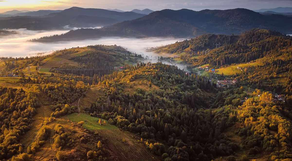вікінг-інвест, куа вікінг-інвест, вікінг інвест